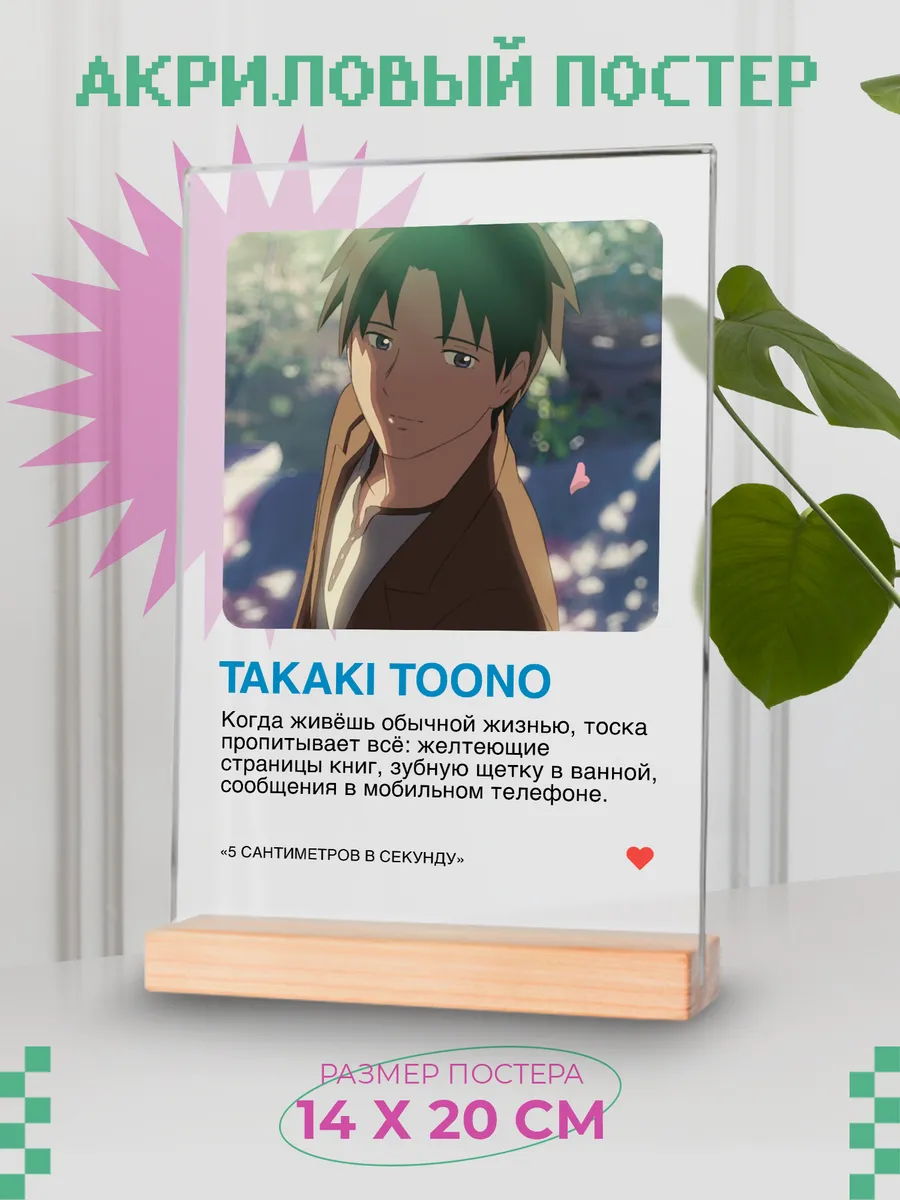 Акриловый постер "5 Сантиметров в секунду"
