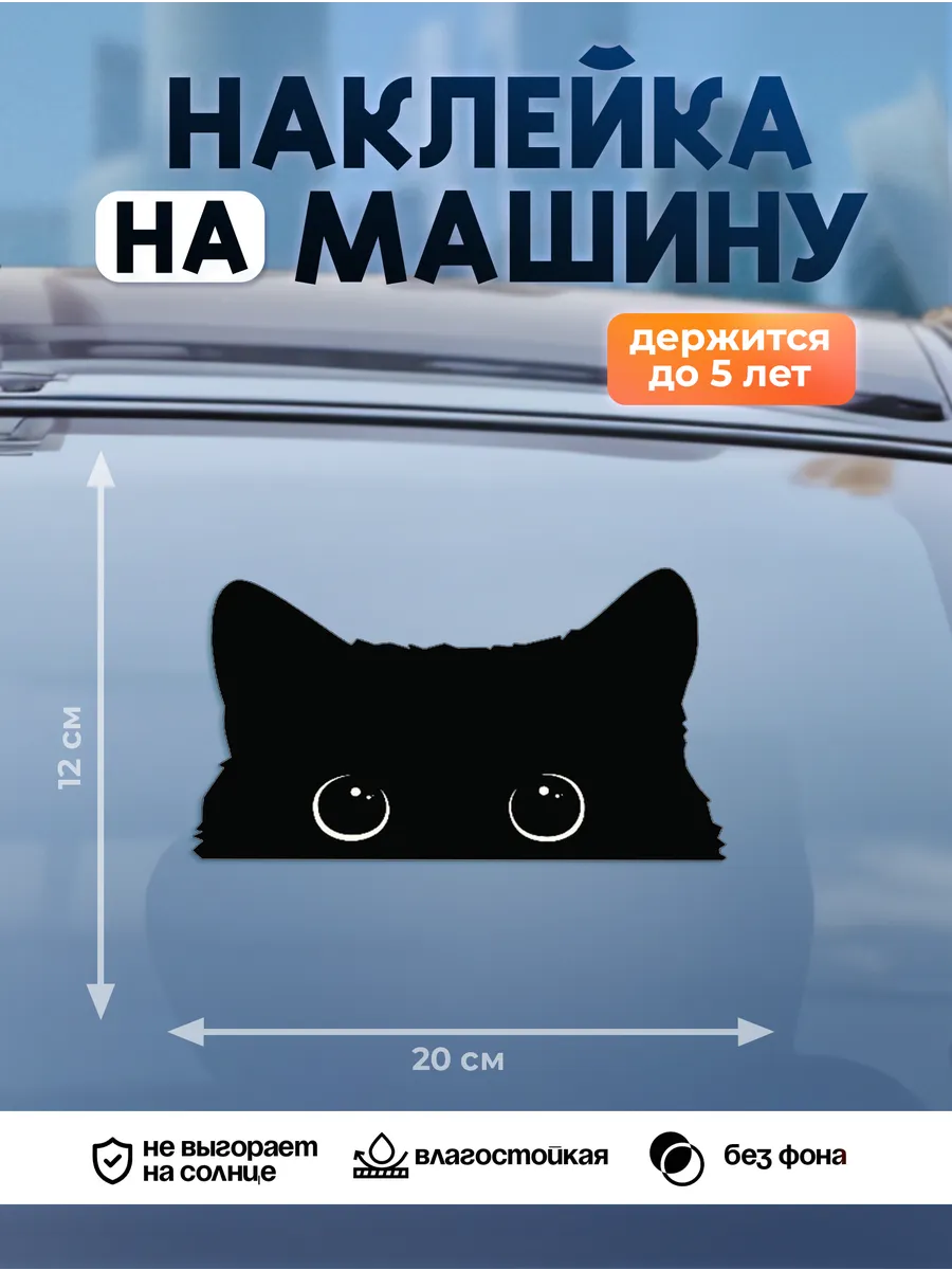 Наклейка на авто на стекло, Выглядывающий кот